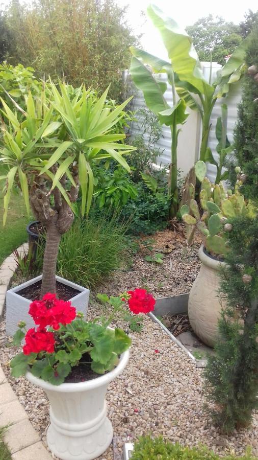 לז הרבייה Chambres D'Hotes La Rose Des Sables מראה חיצוני תמונה